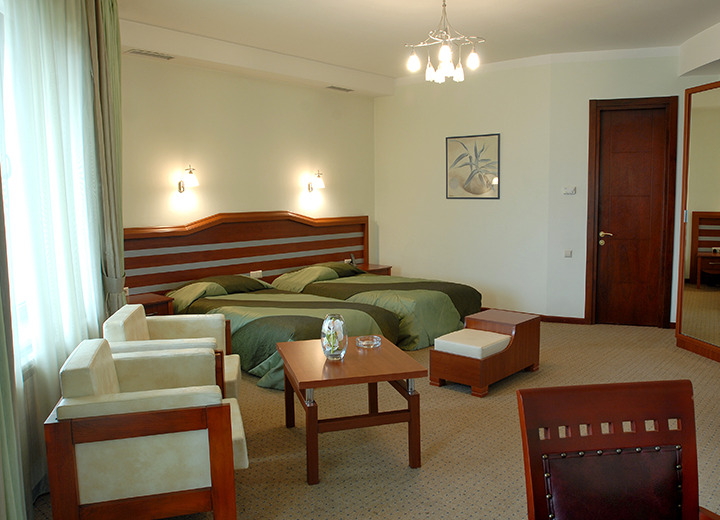 Hotel Vedzisi Τυφλίδα Εξωτερικό φωτογραφία